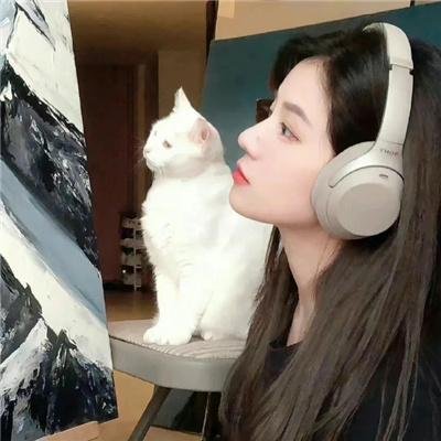 唐琅探案